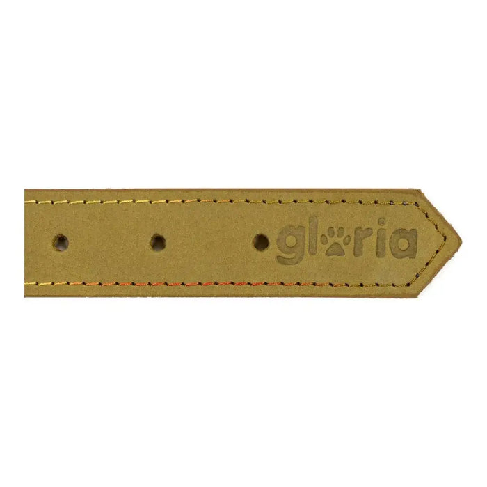 Dog collar Gloria Oasis Green (45 x 1,8 cm) - Домашни Животни<<<Дом Градина<<<BigBuy&&&Пътуване и разходки<<<Домашни