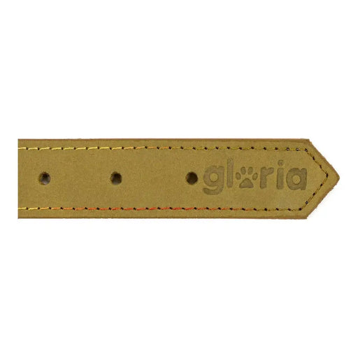 Dog collar Gloria Oasis Green (50 x 2,1 cm) - Домашни Животни<<<Дом Градина<<<BigBuy&&&Пътуване и разходки<<<Домашни