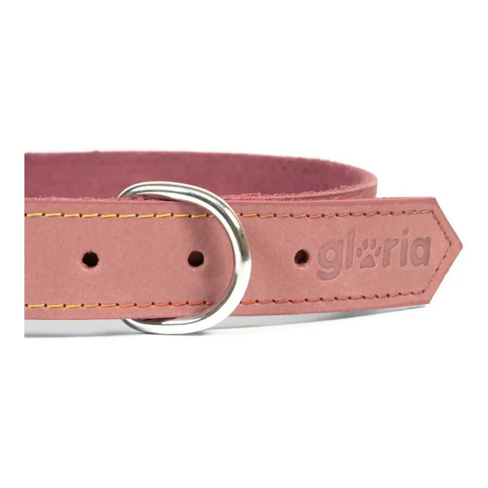 Dog collar Gloria Oasis Pink (1,5 x 40 cm) - Домашни Животни<<<Дом Градина<<<BigBuy&&&Пътуване и разходки<<<Домашни