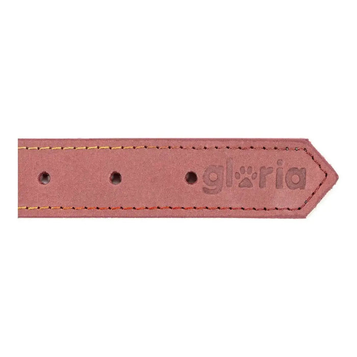 Dog collar Gloria Oasis Pink (1,5 x 40 cm) - Домашни Животни<<<Дом Градина<<<BigBuy&&&Пътуване и разходки<<<Домашни