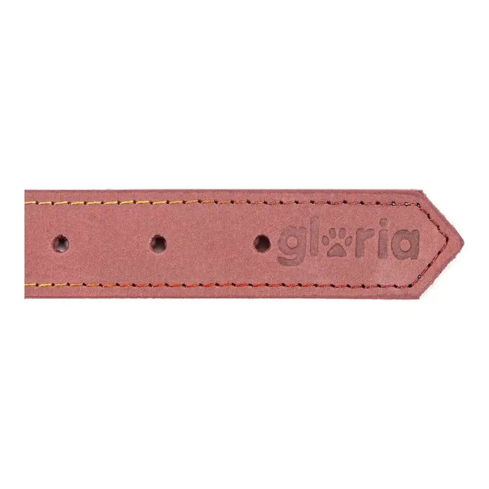 Dog collar Gloria Oasis Pink (60 x 3 cm) - Домашни Животни<<<Дом Градина<<<BigBuy&&&Пътуване и разходки<<<Домашни