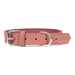 Dog collar Gloria Oasis Pink (60 x 3 cm) - Домашни Животни<<<Дом Градина<<<BigBuy&&&Пътуване и разходки<<<Домашни