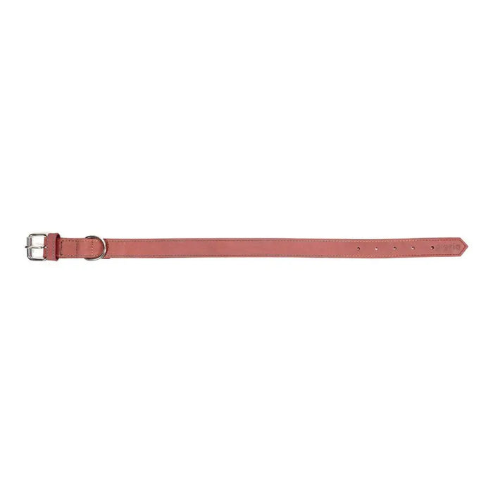 Dog collar Gloria Oasis Pink (60 x 3 cm) - Домашни Животни<<<Дом Градина<<<BigBuy&&&Пътуване и разходки<<<Домашни