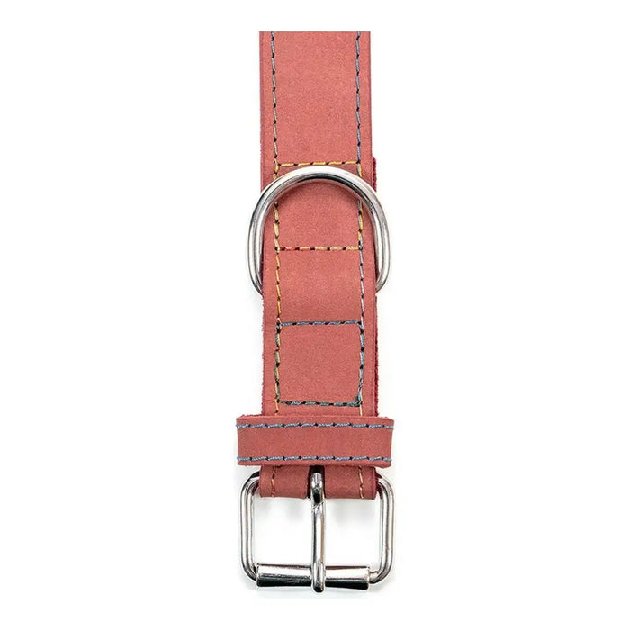 Dog collar Gloria Oasis Pink (60 x 3 cm) - Домашни Животни<<<Дом Градина<<<BigBuy&&&Пътуване и разходки<<<Домашни