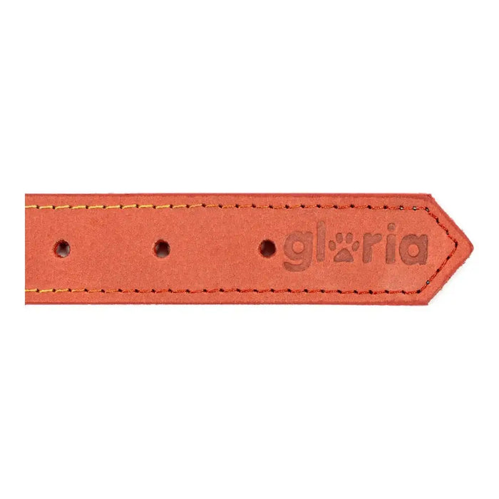 Dog collar Gloria Oasis Red (1,5 x 40 cm) - Домашни Животни<<<Дом Градина<<<BigBuy&&&Пътуване и разходки<<<Домашни