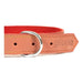 Dog collar Gloria Oasis Red (1,5 x 40 cm) - Домашни Животни<<<Дом Градина<<<BigBuy&&&Пътуване и разходки<<<Домашни