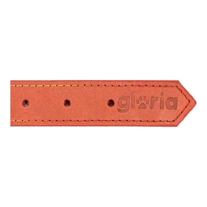 Dog collar Gloria Oasis Red (60 x 3 cm) - Домашни Животни<<<Дом Градина<<<BigBuy&&&Пътуване и разходки<<<Домашни