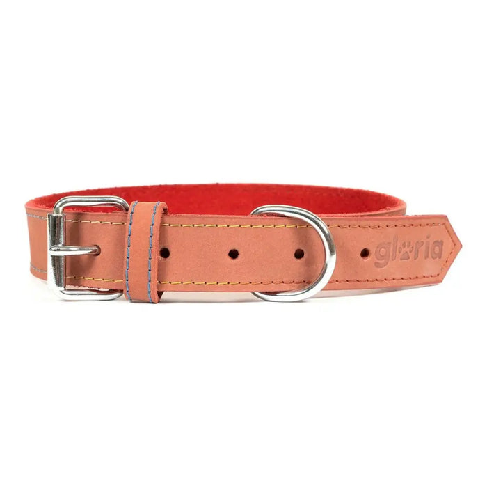 Dog collar Gloria Oasis Red (70 x 3 cm) - Домашни Животни<<<Дом Градина<<<BigBuy&&&Пътуване и разходки<<<Домашни