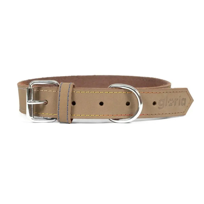 Dog collar Gloria Oasis White (1,5 x 40 cm) - Домашни Животни<<<Дом Градина<<<BigBuy&&&Пътуване и разходки<<<Домашни