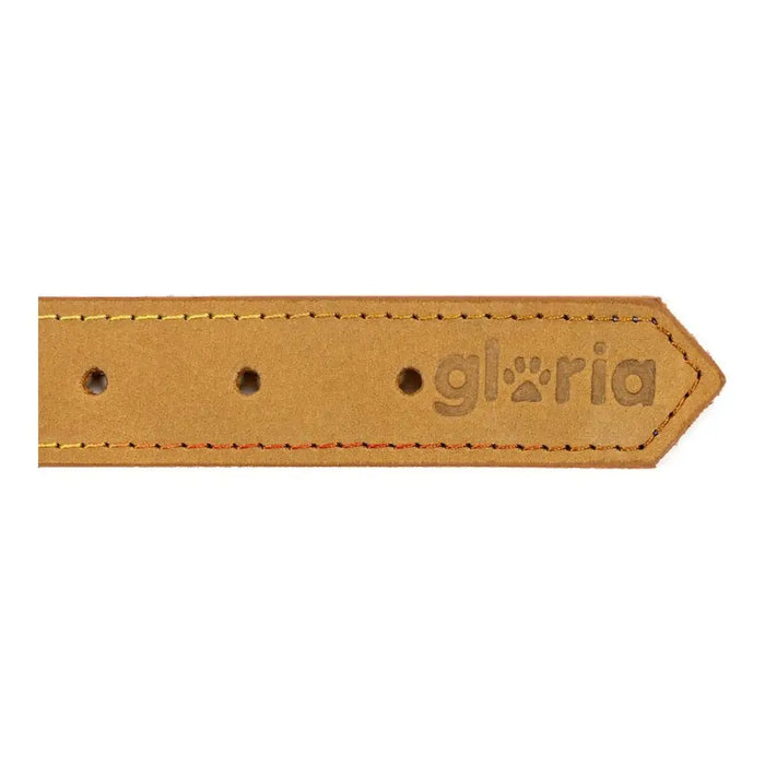 Dog collar Gloria Oasis Yellow (45 x 1,8 cm) - Домашни Животни<<<Дом Градина<<<BigBuy&&&Пътуване и разходки<<<Домашни