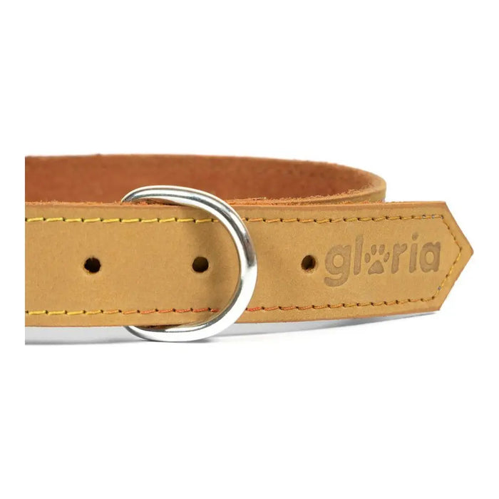 Dog collar Gloria Oasis Yellow (50 x 2,1 cm) - Домашни Животни<<<Дом Градина<<<BigBuy&&&Пътуване и разходки<<<Домашни