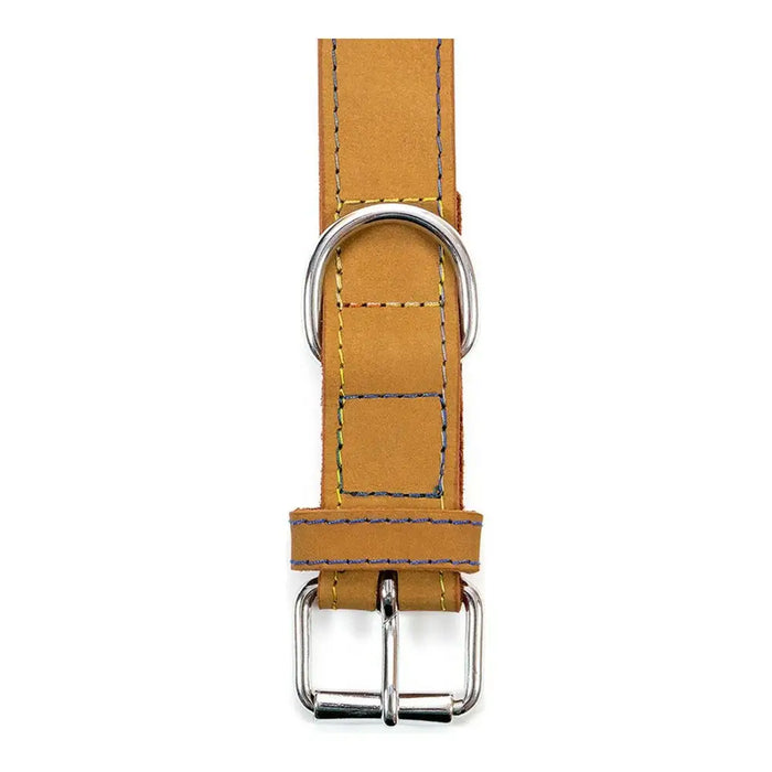 Dog collar Gloria Oasis Yellow (55 x 2,5 cm) - Домашни Животни<<<Дом Градина<<<BigBuy&&&Пътуване и разходки<<<Домашни