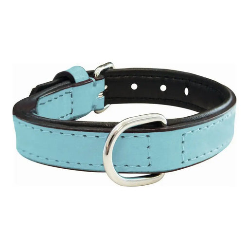 Dog collar Gloria Padded Blue (40 x 2 cm) - Домашни Животни<<<Дом Градина<<<BigBuy&&&Пътуване и разходки<<<Домашни