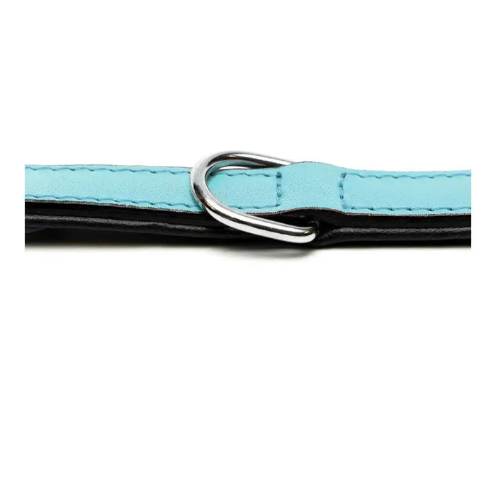 Dog collar Gloria Padded Blue (50 x 2,5 cm) - Домашни Животни<<<Дом Градина<<<BigBuy&&&Пътуване и разходки<<<Домашни