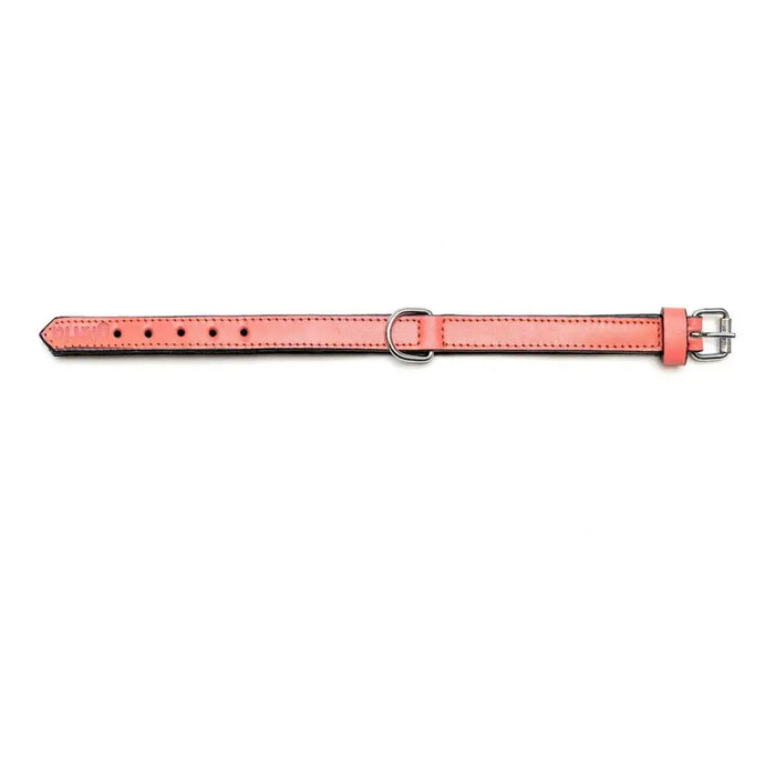 Dog collar Gloria Padded Coral (30 x 1,5 cm) - Домашни Животни<<<Дом Градина<<<BigBuy&&&Пътуване и разходки<<<Домашни