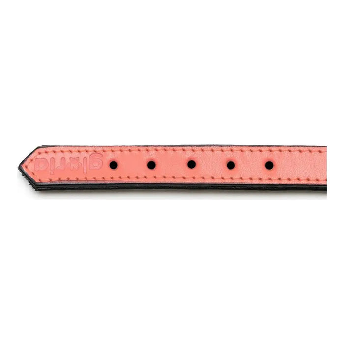 Dog collar Gloria Padded Coral (45 x 2 cm) - Домашни Животни<<<Дом Градина<<<BigBuy&&&Пътуване и разходки<<<Домашни
