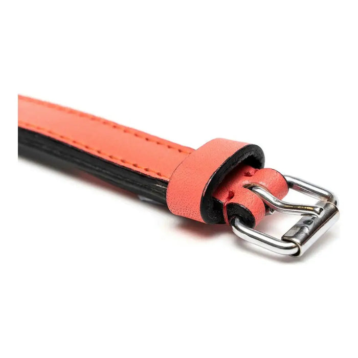 Dog collar Gloria Padded Coral (55 x 2,5 cm) - Домашни Животни<<<Дом Градина<<<BigBuy&&&Пътуване и разходки<<<Домашни