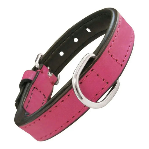 Dog collar Gloria Padded Fuchsia (50 x 2,5 cm) - Домашни Животни<<<Дом Градина<<<BigBuy&&&Пътуване и разходки<<<Домашни