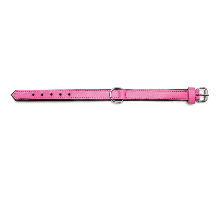 Dog collar Gloria Padded Fuchsia (50 x 2,5 cm) - Домашни Животни<<<Дом Градина<<<BigBuy&&&Пътуване и разходки<<<Домашни
