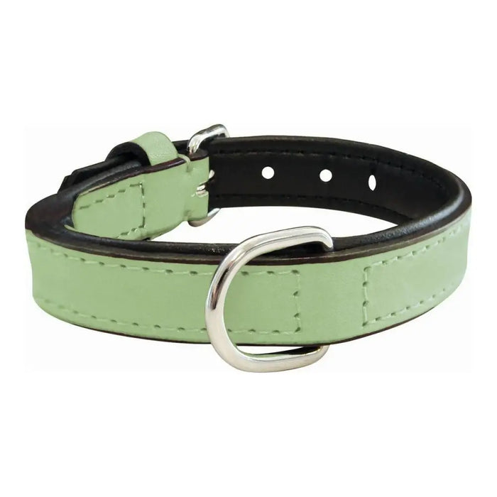 Dog collar Gloria Padded Green (30 x 1,5 cm) - Домашни Животни<<<Дом Градина<<<BigBuy&&&Пътуване и разходки<<<Домашни