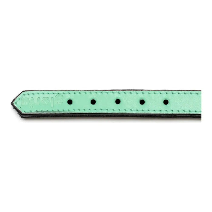 Dog collar Gloria Padded Green (40 x 2 cm) - Домашни Животни<<<Дом Градина<<<BigBuy&&&Пътуване и разходки<<<Домашни