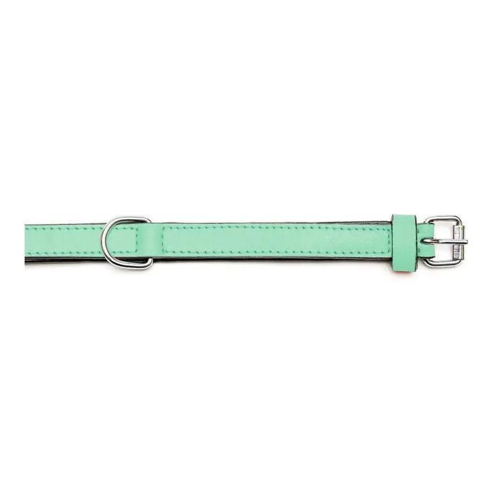 Dog collar Gloria Padded Green (55 x 2,5 cm) - Домашни Животни<<<Дом Градина<<<BigBuy&&&Пътуване и разходки<<<Домашни
