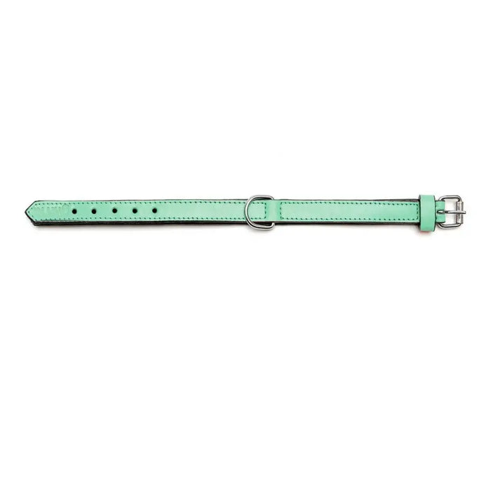 Dog collar Gloria Padded Green (55 x 2,5 cm) - Домашни Животни<<<Дом Градина<<<BigBuy&&&Пътуване и разходки<<<Домашни