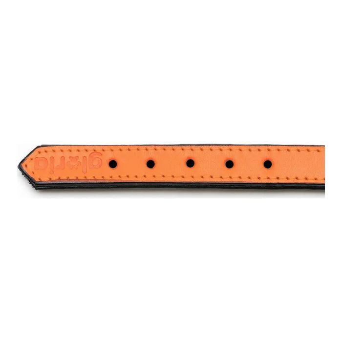 Dog collar Gloria Padded Orange (30 x 1,5 cm) - Домашни Животни<<<Дом Градина<<<BigBuy&&&Пътуване и разходки<<<Домашни