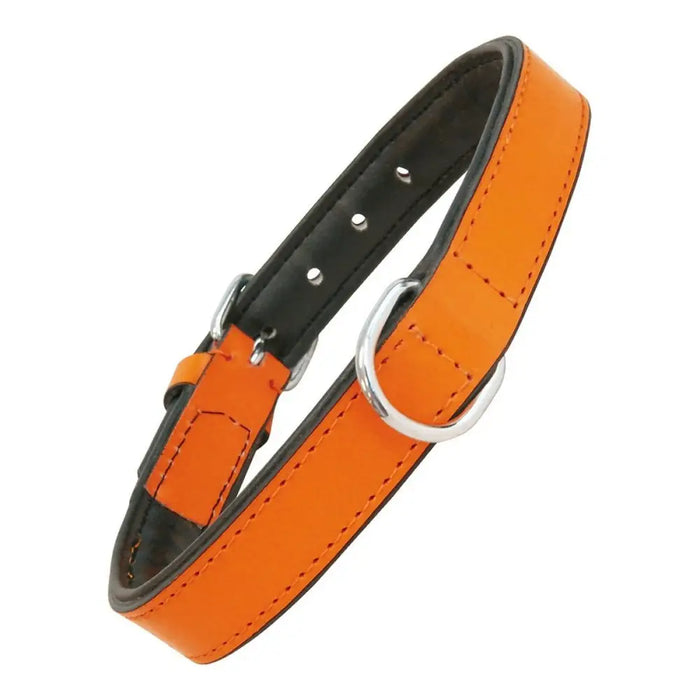 Dog collar Gloria Padded Orange (35 x 1,5 cm) - Домашни Животни<<<Дом Градина<<<BigBuy&&&Пътуване и разходки<<<Домашни