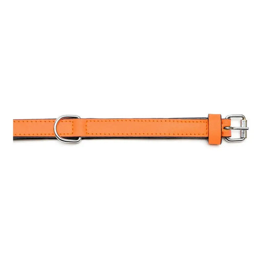 Dog collar Gloria Padded Orange (35 x 1,5 cm) - Домашни Животни<<<Дом Градина<<<BigBuy&&&Пътуване и разходки<<<Домашни