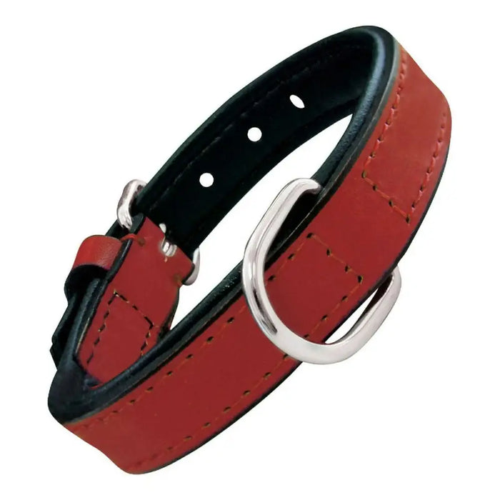 Dog collar Gloria Padded Red (30 x 1,5 cm) - Домашни Животни<<<Дом Градина<<<BigBuy&&&Пътуване и разходки<<<Домашни