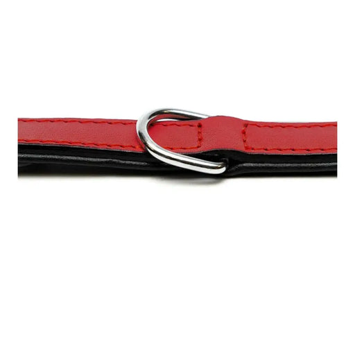 Dog collar Gloria Padded Red (35 x 1,5 cm) - Домашни Животни<<<Дом Градина<<<BigBuy&&&Пътуване и разходки<<<Домашни
