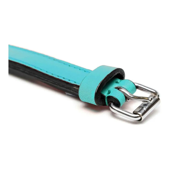 Dog collar Gloria Padded Turquoise (35 x 1,5 cm) - Домашни Животни<<<Дом Градина<<<BigBuy&&&Пътуване и