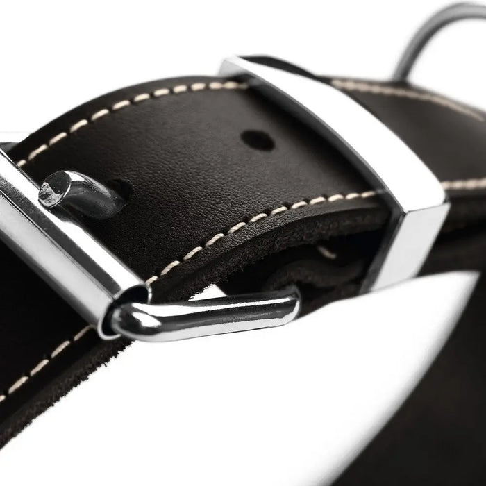 Dog collar Hunter Aalborg Black (30-38 cm) - Домашни Животни<<<Дом Градина<<<BigBuy&&&Пътуване и разходки<<<Домашни