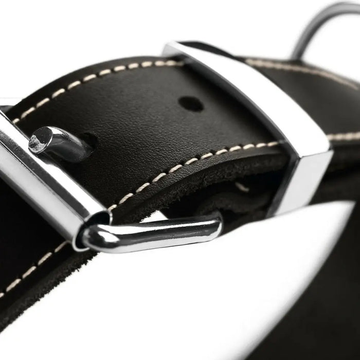 Dog collar Hunter Aalborg Black (36-44 cm) - Домашни Животни<<<Дом Градина<<<BigBuy&&&Пътуване и разходки<<<Домашни