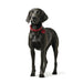 Dog collar Hunter Aalborg Red L 45-55 cm - Домашни Животни<<<Дом Градина<<<BigBuy&&&Пътуване и разходки<<<Домашни