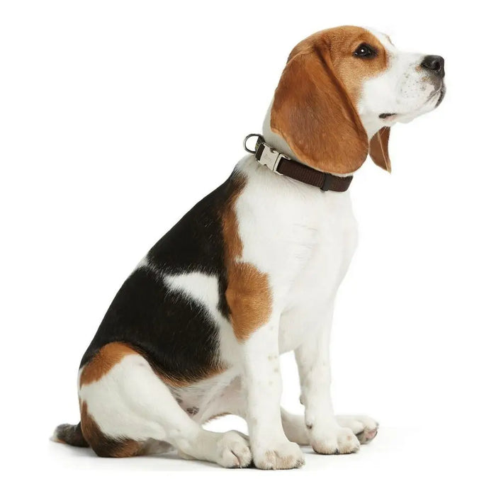 Dog collar Hunter Alu-Strong Black Size S (30-45 cm) - Домашни Животни<<<Дом Градина<<<BigBuy&&&Пътуване и