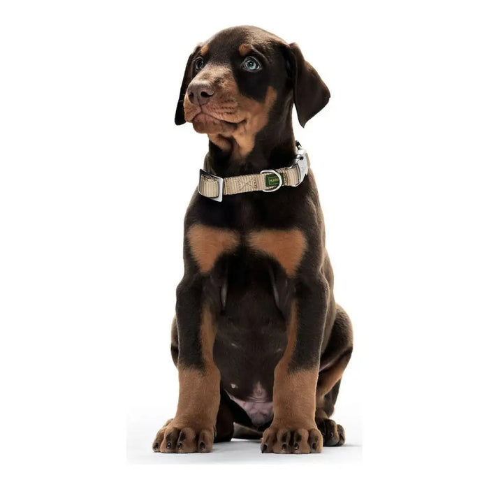 Dog collar Hunter Alu-Strong Grey Size L (45-65 cm) - Домашни Животни<<<Дом Градина<<<BigBuy&&&Пътуване и