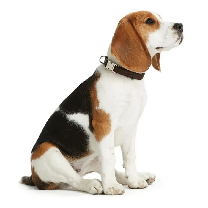 Dog collar Hunter Basic Alu-Strong Red Size L (45-65 cm) - Домашни Животни<<<Дом Градина<<<BigBuy&&&Пътуване и