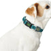 Dog collar Hunter Basic Thread Orange Size M (33-50 cm) - Домашни Животни<<<Дом Градина<<<BigBuy&&&Пътуване и