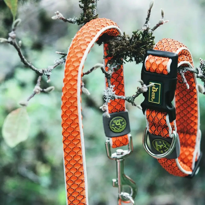 Dog collar Hunter Basic Thread Orange Size M (33-50 cm) - Домашни Животни<<<Дом Градина<<<BigBuy&&&Пътуване и