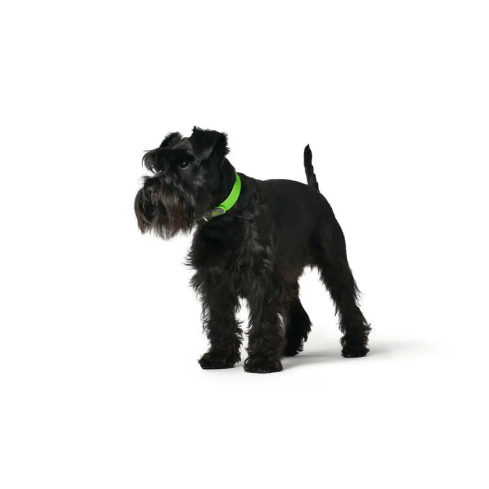 Dog collar Hunter Convenience 53-61 cm L/XL Green - Домашни Животни<<<Дом Градина<<<BigBuy&&&Пътуване и