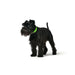 Dog collar Hunter Convenience 53-61 cm L/XL Green - Домашни Животни<<<Дом Градина<<<BigBuy&&&Пътуване и