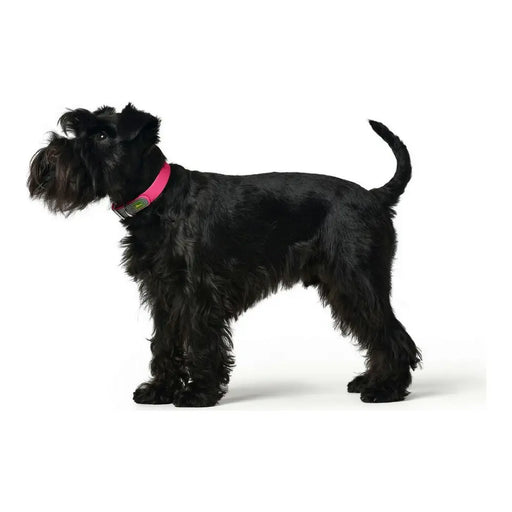 Dog collar Hunter Convenience Pink Size M (38-46 cm) - Домашни Животни<<<Дом Градина<<<BigBuy&&&Пътуване и
