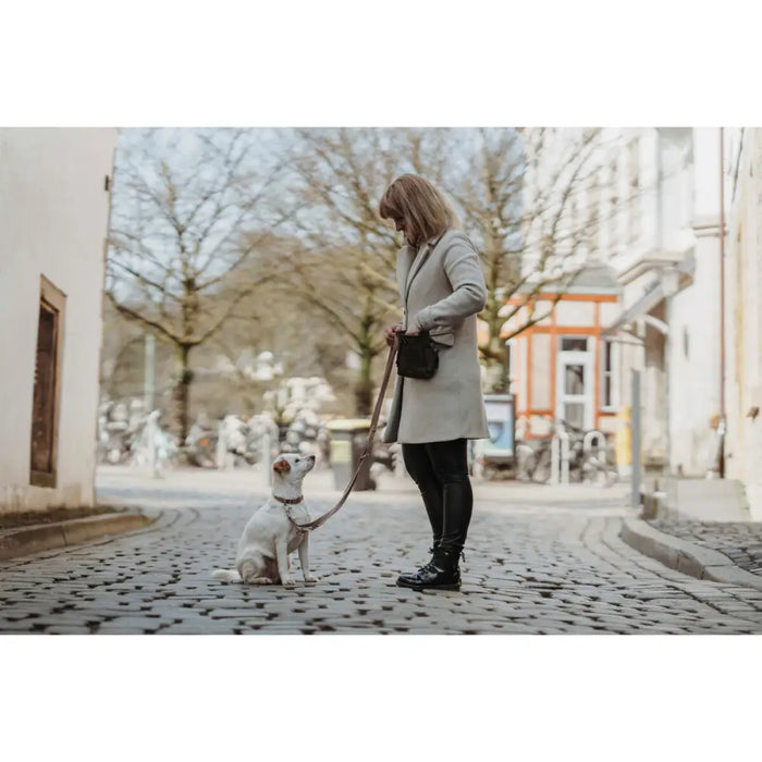 Dog collar Hunter Inari Beige 40-55 cm L - Домашни Животни<<<Дом Градина<<<BigBuy&&&Пътуване и разходки<<<Домашни