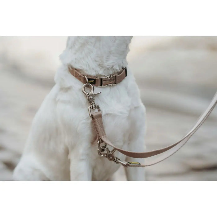 Dog collar Hunter Inari Beige M 30-45 cm - Домашни Животни<<<Дом Градина<<<BigBuy&&&Пътуване и разходки<<<Домашни
