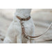 Dog collar Hunter Inari Beige M 30-45 cm - Домашни Животни<<<Дом Градина<<<BigBuy&&&Пътуване и разходки<<<Домашни