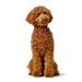 Dog collar Hunter Love XS/S 30-34 cm Rojo/Blanco - Домашни Животни<<<Дом Градина<<<BigBuy&&&Пътуване и