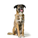 Dog collar Hunter MALIA Green L 50-59 cm - Домашни Животни<<<Дом Градина<<<BigBuy&&&Пътуване и разходки<<<Домашни