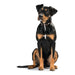 Dog collar Hunter Swiss 47-54 cm - Домашни Животни<<<Дом Градина<<<BigBuy&&&Пътуване и разходки<<<Домашни Животни<<<Дом